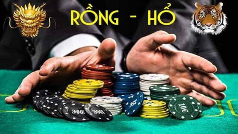 cach choi rong ho1 Cách chơi không quá phức tạp cho người mới tham gia